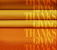 Townsend is Thankful!