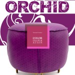 Color Inspiration